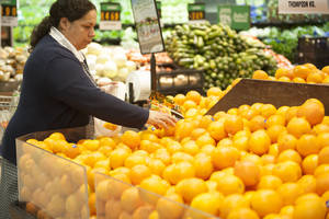 Photo: ©FAO/Vladimir Rodas